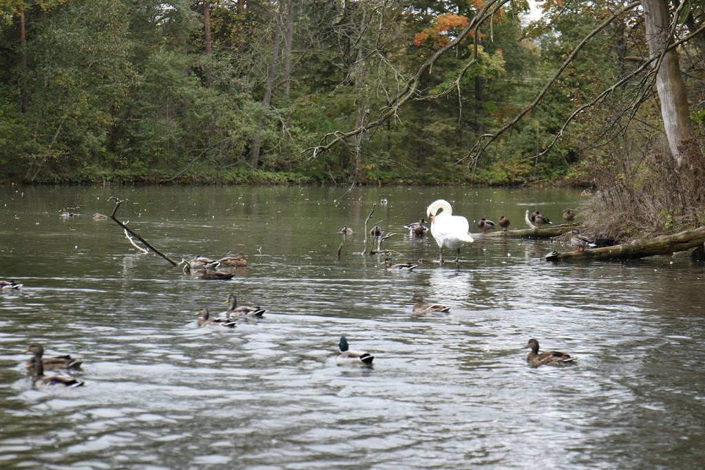 Sulphur Spring Conservation Area | 261123 Grey Rd 28, Hanover, ON N4N 3B8, Canada | Phone: (519) 367-3040