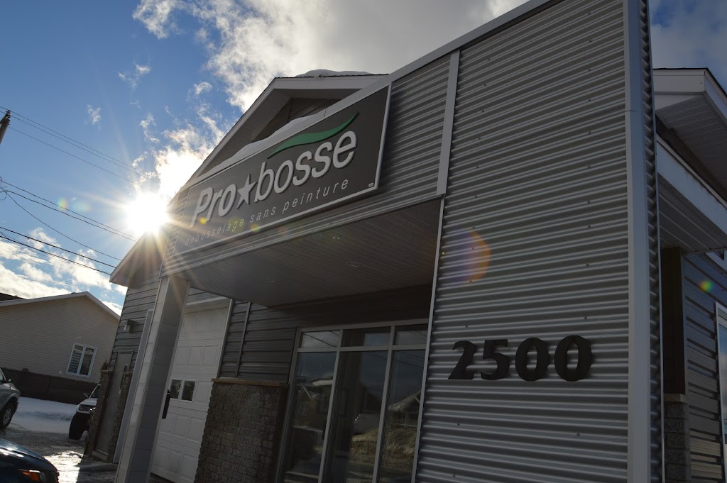 Pro Bosse | 2500 Rue Mercier, Jonquière, QC G7S 0C1, Canada | Phone: (418) 540-0656