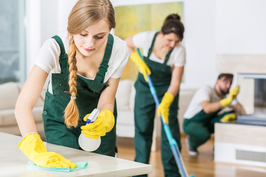 Dust Busters Services - Residential and Commercial Cleaning | 540 Newmarket St, Holland Landing, ON L9N 1K7, Canada | Phone: (905) 895-5326