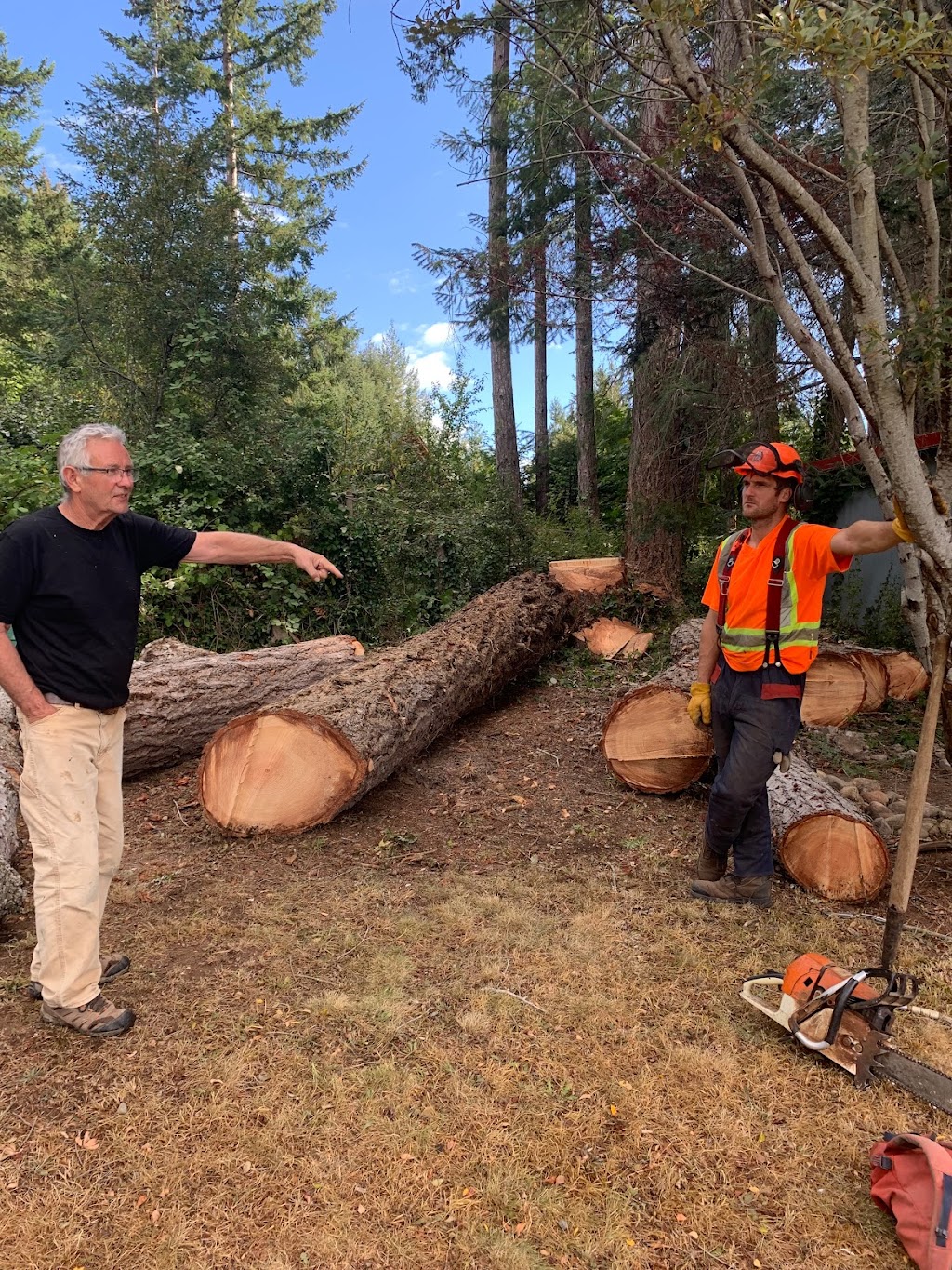 Sasquatch Tree Service | 4560 Duncan Bay Main Line Rd, Courtenay, BC V9N 9M4, Canada | Phone: (250) 218-0416