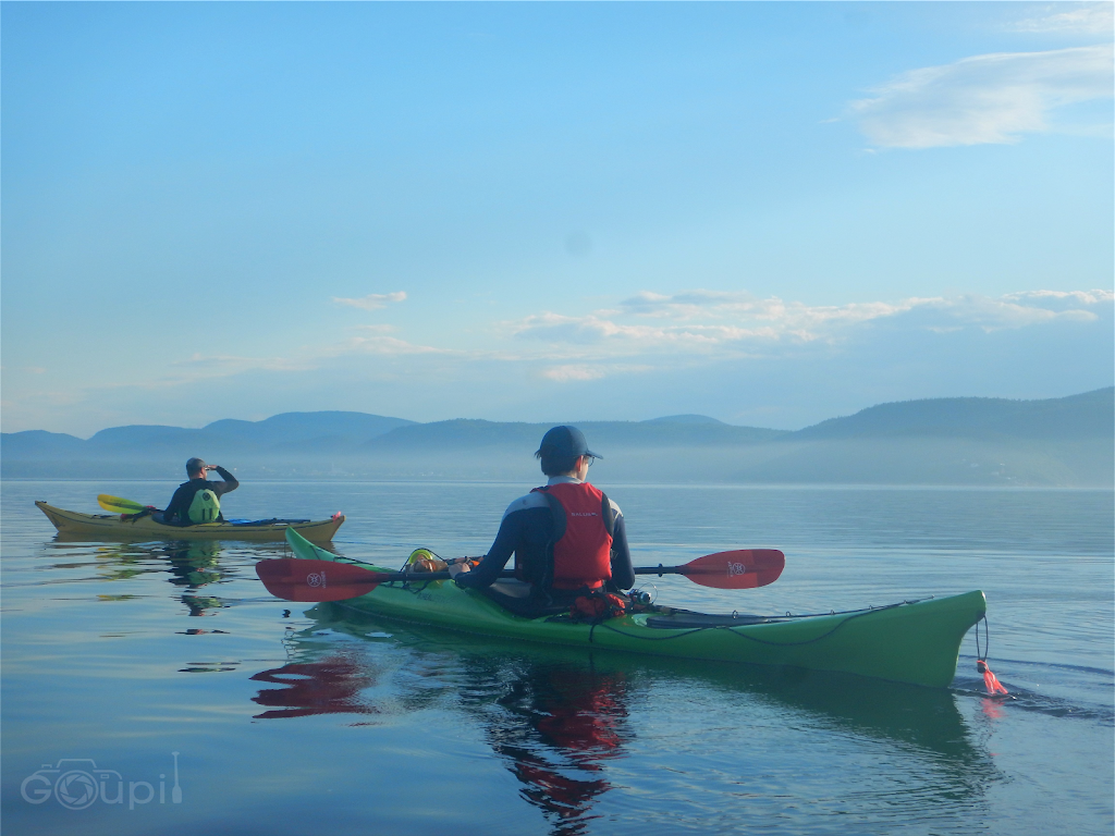 Tadoussac Autrement - Kayak de mer | 145 Rue du Bord de lEau, Tadoussac, QC G0T 2A0, Canada | Phone: (418) 355-4305