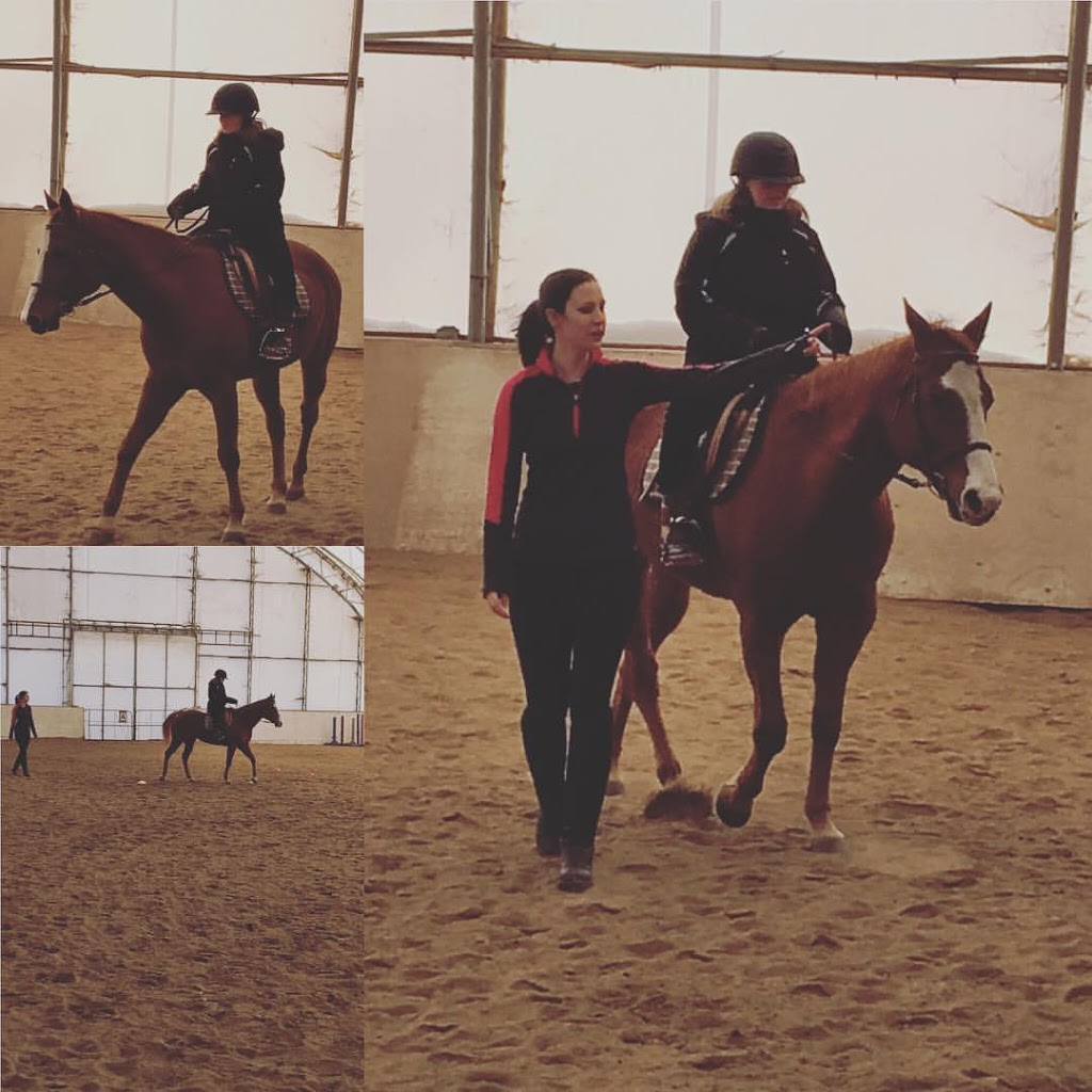 Centre Dhippothérapie Et Équitation Thérapeutique Enfants En Éq | 4200 Chemin Ste Angélique, Saint-Lazare, QC J7T 2N5, Canada | Phone: (438) 403-3341