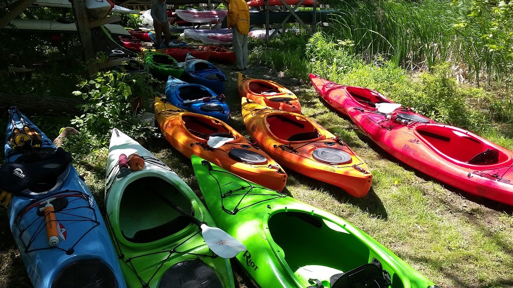 Grand River Kayak | 2 Port Maitland Rd, Dunnville, ON N1A 1Y3, Canada | Phone: (888) 529-2515