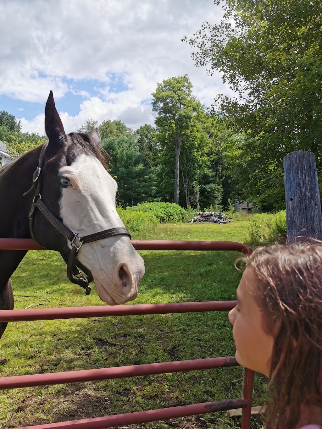 Land OLakes Rescue Petting Farm | 1200 Road 506, Cloyne, ON K0H 1K0, Canada | Phone: (613) 336-0330