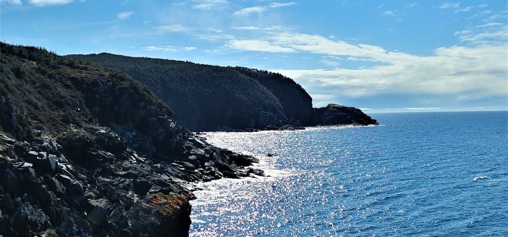 The Point Bed and Breakfast | 149 Hants Harbour Rd, Hants Harbour, NL A0B 1Y0, Canada | Phone: (709) 746-7549