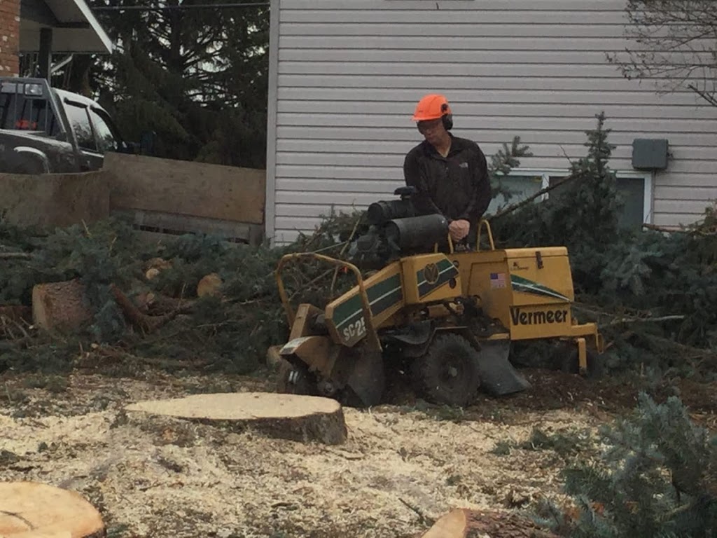 Chip It Stump Removal ltd | 37138 Dawson Rd, Abbotsford, BC V3G 2K9, Canada | Phone: (604) 855-1436