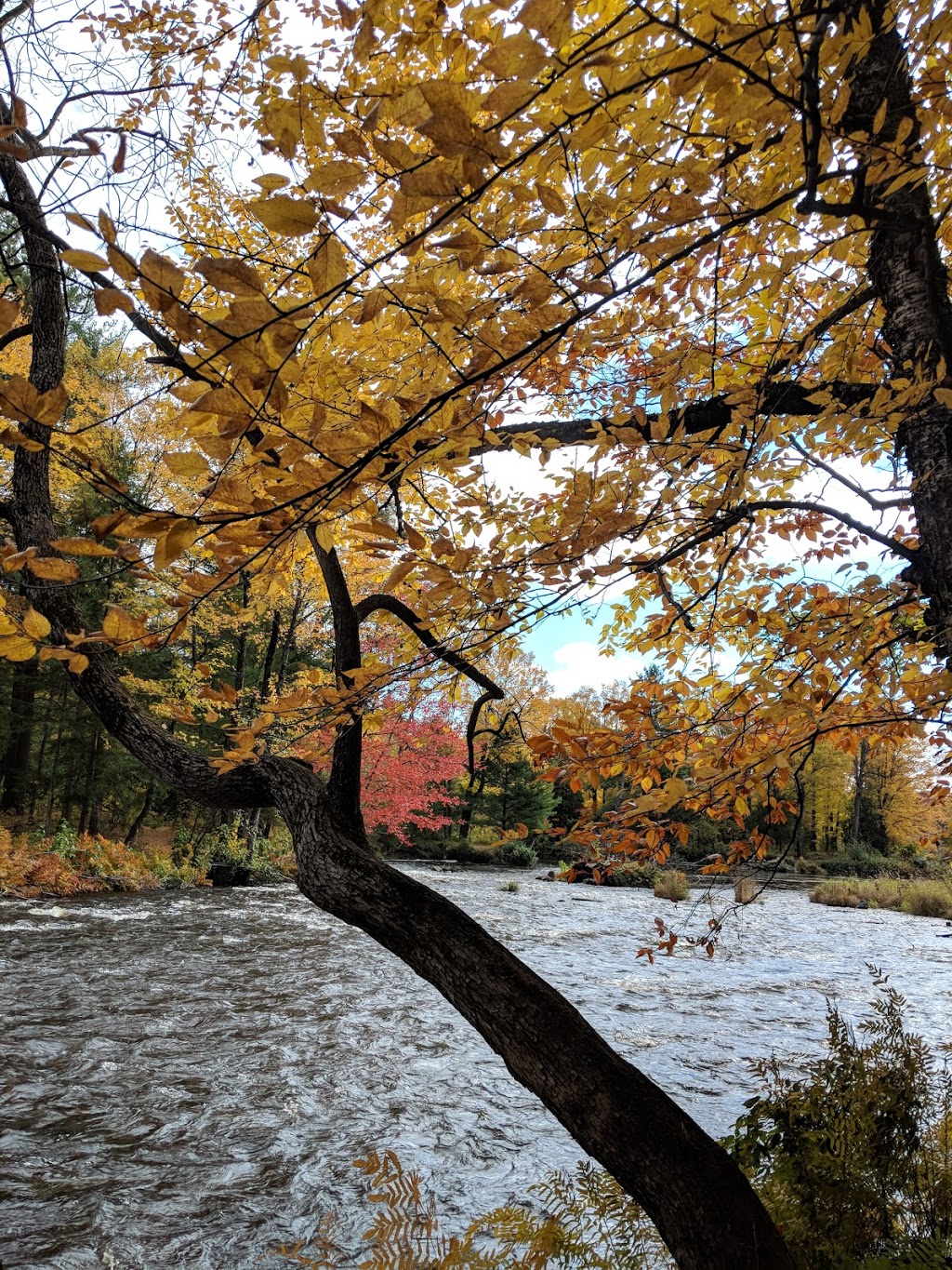 Parc régional de la Rivière-du-Nord (Chutes Wilson) | 750 Chemin de la Rivière du N, Saint-Jérôme, QC J7Y 5G2, Canada | Phone: (450) 431-1676