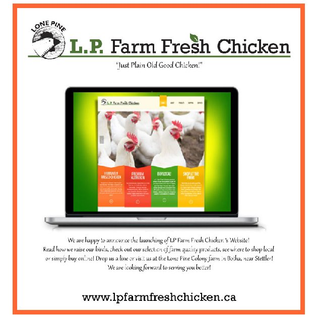 Lp Farm Fresh Chicken | NW 6 39-17 Lone Pine Farming Box 250, Botha, AB T0C 0N0, Canada | Phone: (403) 742-3454 ext. 2298