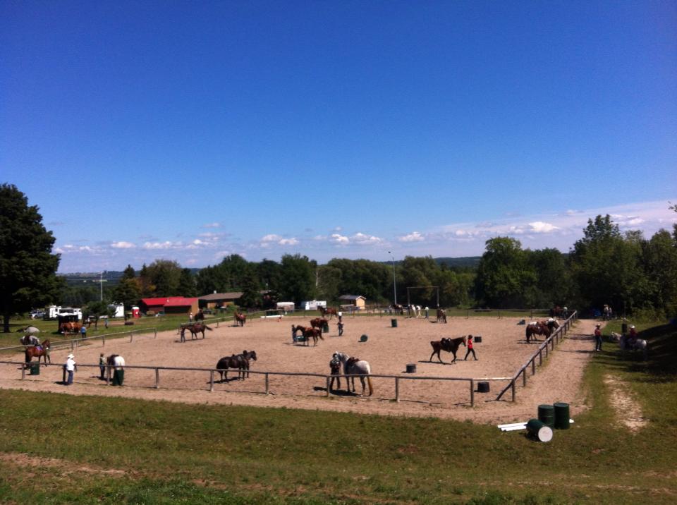 The Horsemans Word Ranch | 6900 Concession Rd 6, Uxbridge, ON L9P 1R1, Canada | Phone: (416) 722-0843