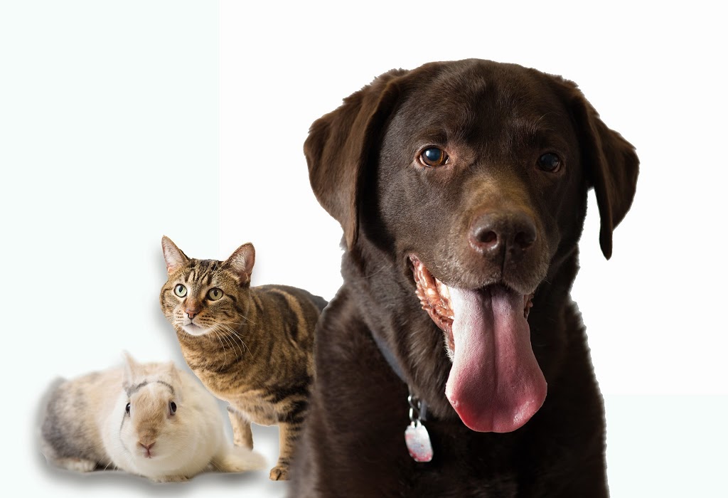 Northview Pet Hospital | 8611 Weston Rd, Woodbridge, ON L4L 9P1, Canada | Phone: (905) 264-6085