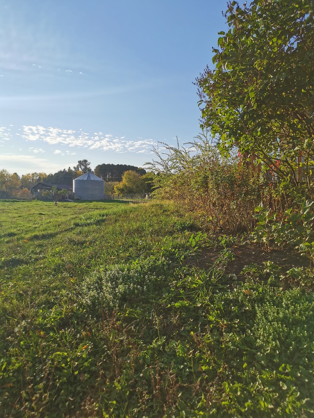 Ferme fée et fougère | 377, route 321 Nord, Ripon, QC J0V 1V0, Canada | Phone: (819) 428-1499