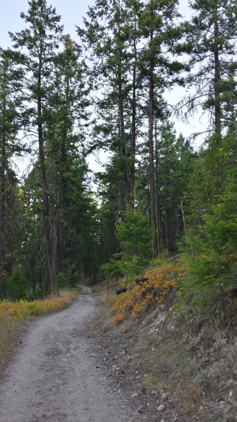 Raven Ridge Trailhead - Spion Kop Hiking Trails | 13850 Forest Hills Dr, Lake Country, BC V4V 1A5, Canada