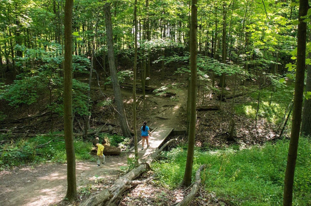 Iroquoia Heights Conservation Area | Bruce Trail, Hamilton, ON L9K 1E6, Canada