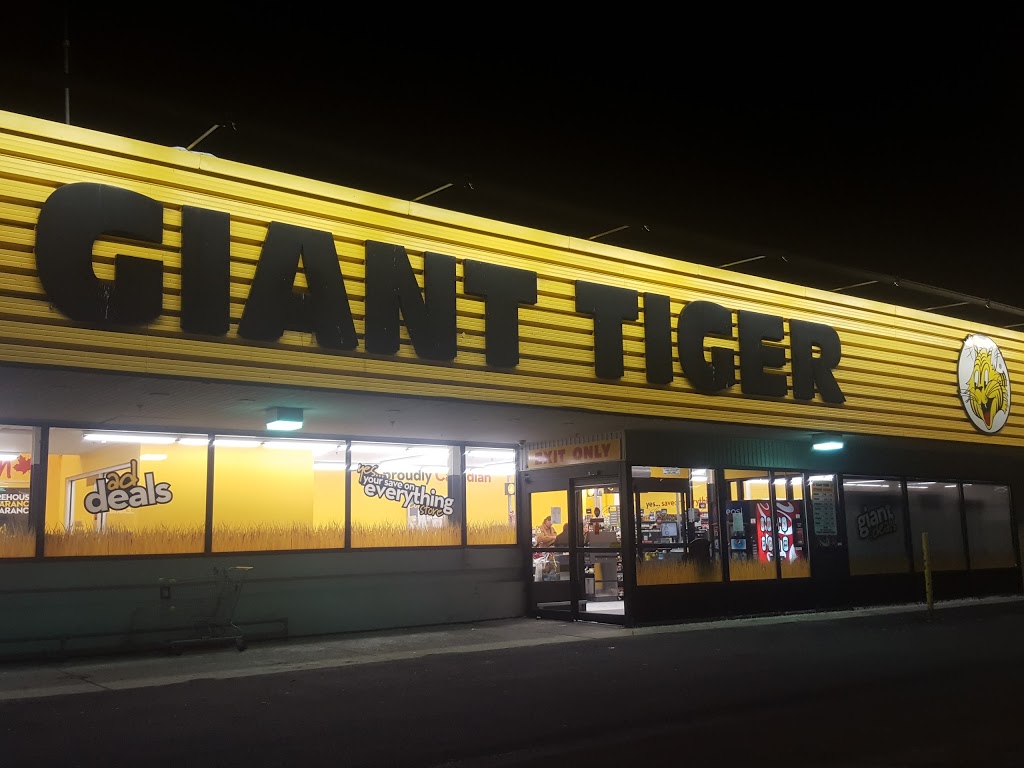 Giant Tiger | 351 Margaret Ave, Kitchener, ON N2H 4J6, Canada | Phone: (519) 742-9545