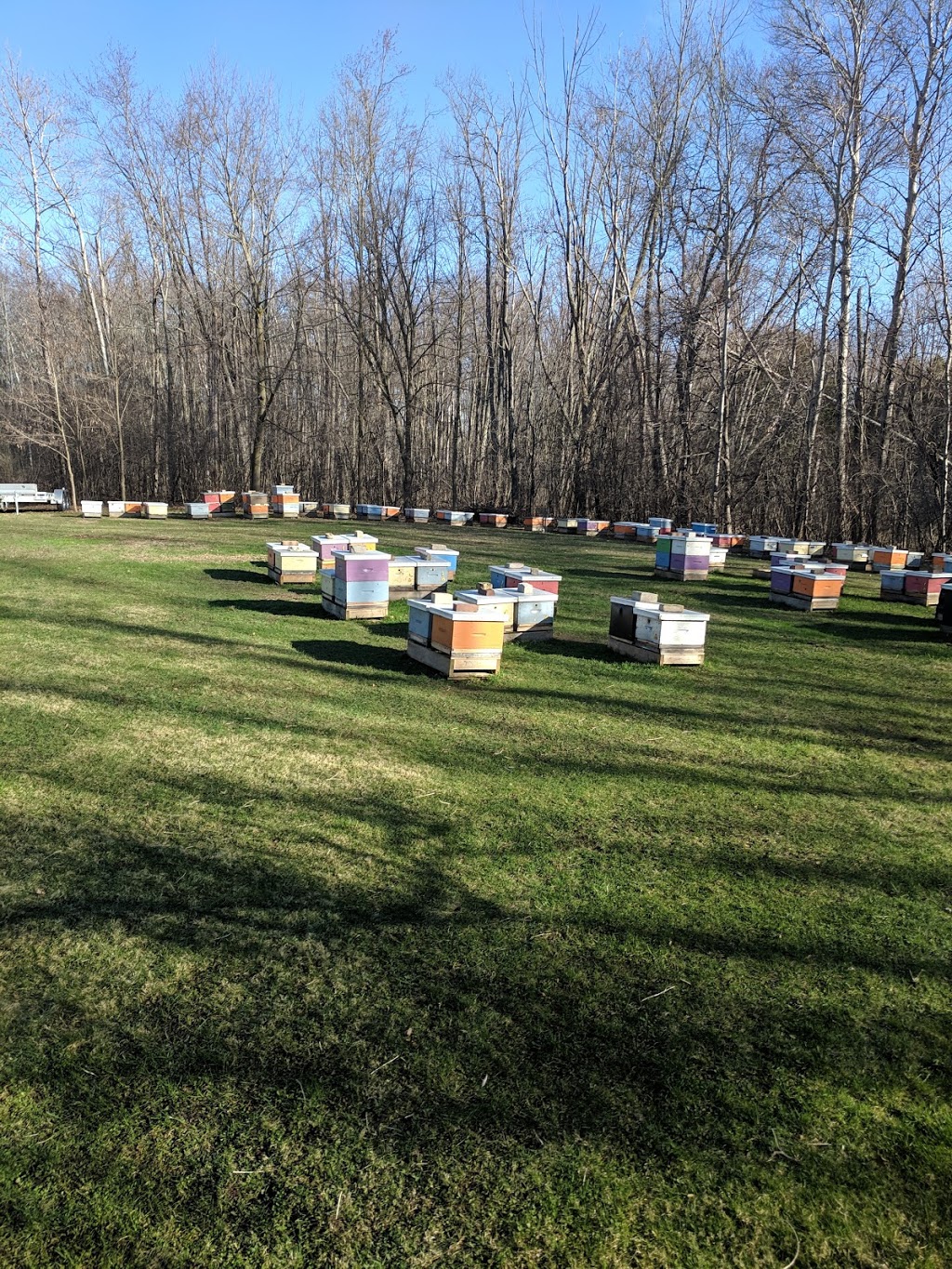 Beekeepers Association | 308 Stone Rd E, Guelph, ON N1G 4X7, Canada | Phone: (519) 836-8897