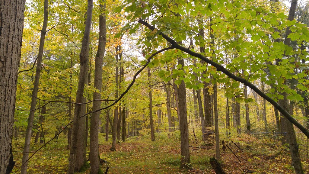 Logbench Ridge | Kawartha Lakes, ON K0L 2W0, Canada