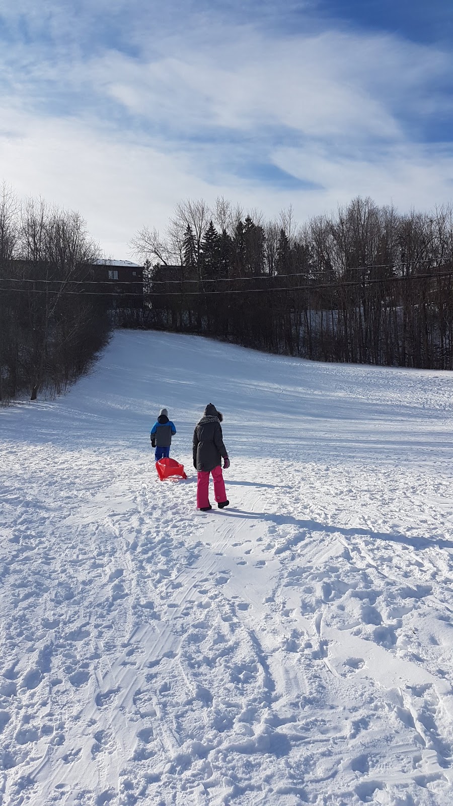 Forest Valley Outdoor Education Centre | North York, ON M3H 4W5, Canada | Phone: (416) 395-5110