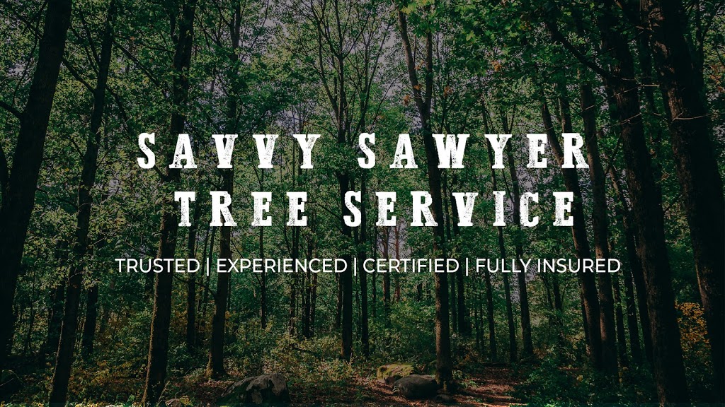 Savvy Sawyer Tree Service | 14111 ON-12, Waubaushene, ON L0K 2C0, Canada | Phone: (705) 970-0553
