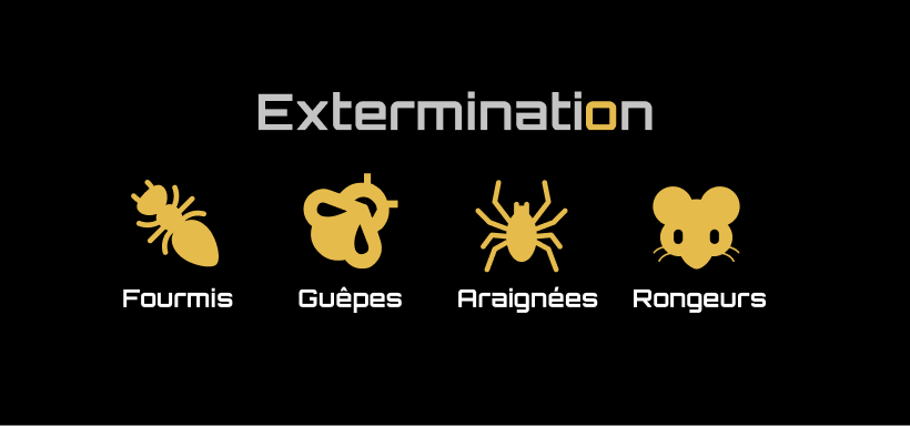 RMM Expert Extermination | 16 Rue du Boisé Normand, Sainte-Anne-des-Plaines, QC J0N 1H0, Canada | Phone: (866) 932-4162