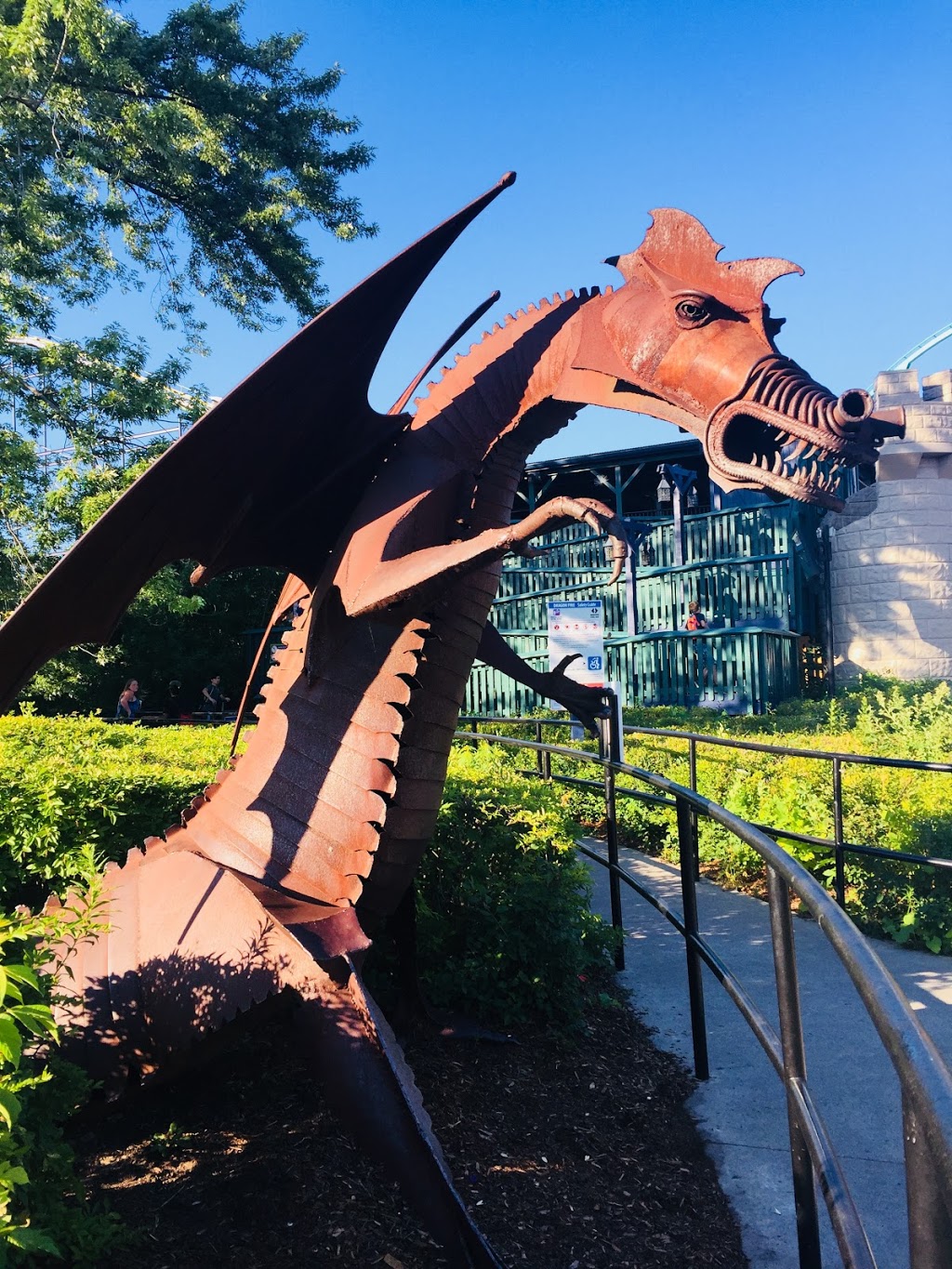 Dragon Fyre | 1 Canadas Wonderland Drive, Maple, ON L6A 1S6, Canada | Phone: (905) 832-7000