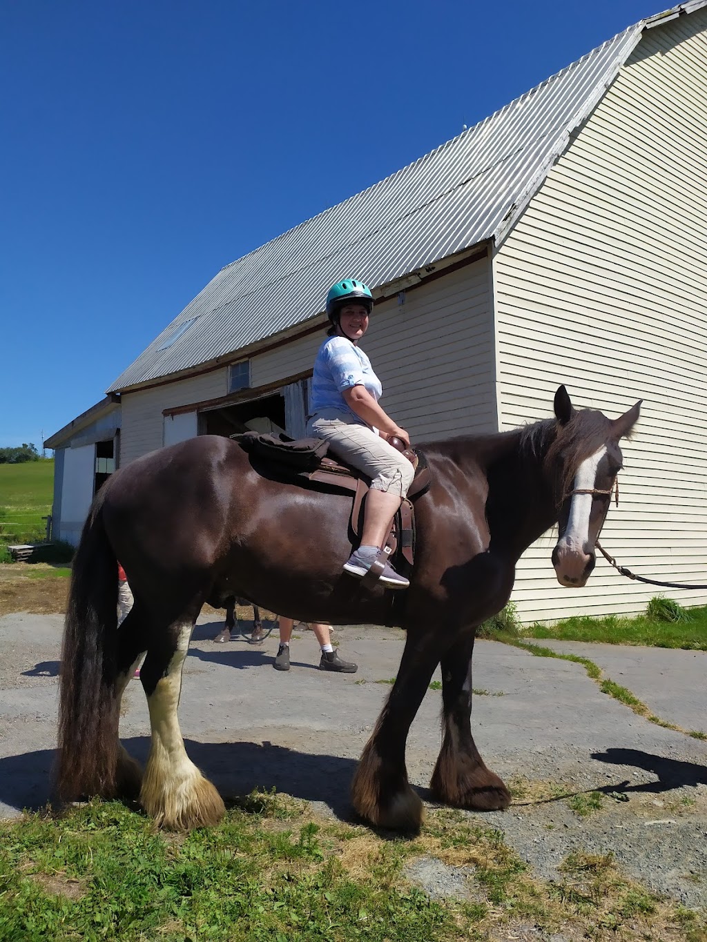 Serenity Acres Family Ranch | 7321 Nova Scotia Trunk 1, Ellershouse, NS B0N 1L0, Canada | Phone: (902) 791-1215