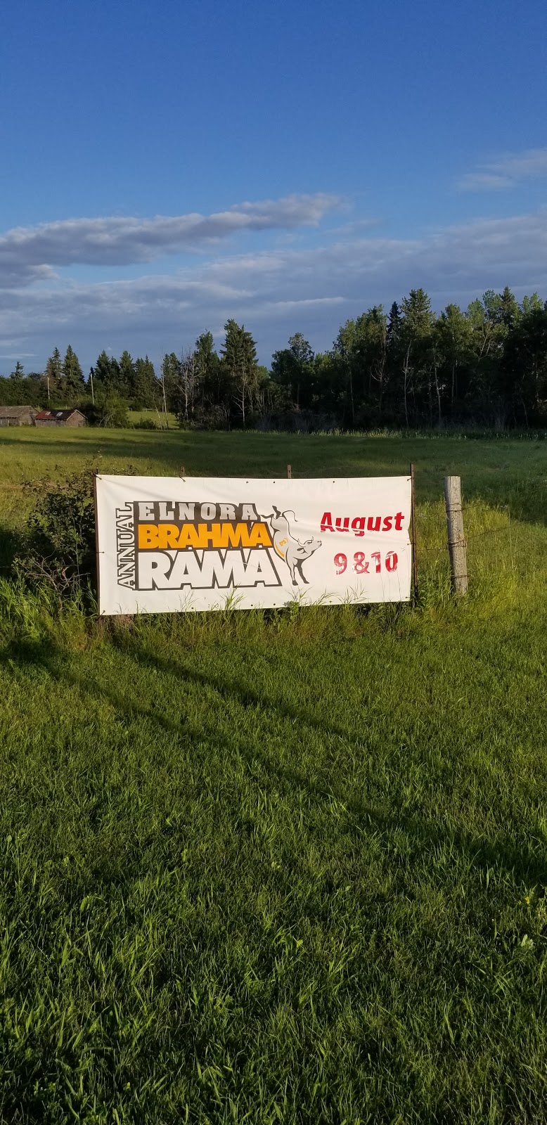 Elnora & District Pioneer Club | Main St, Elnora, AB T0M 0Y0, Canada | Phone: (403) 773-3711