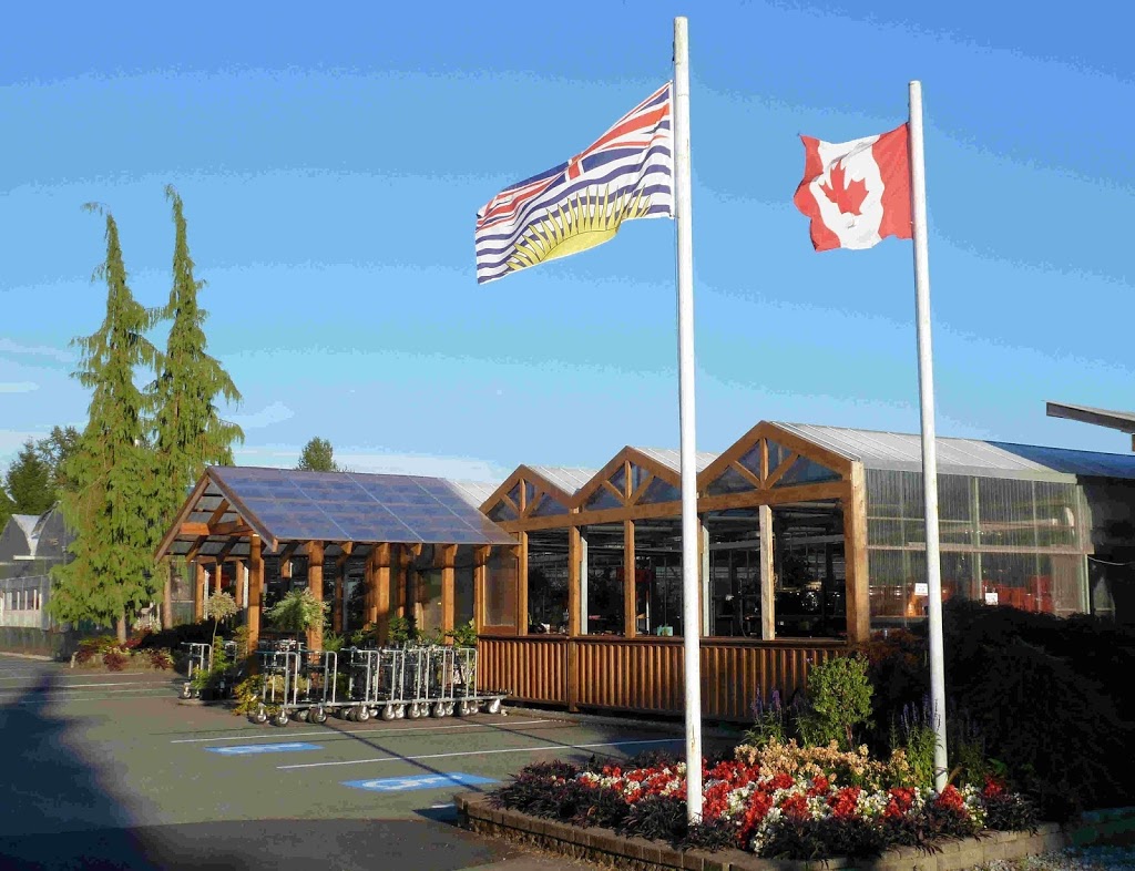 Amsterdam Greenhouses & Garden Centre | 19100 Old Dewdney Trunk Rd, Pitt Meadows, BC V3Y 2R8, Canada | Phone: (604) 465-6614