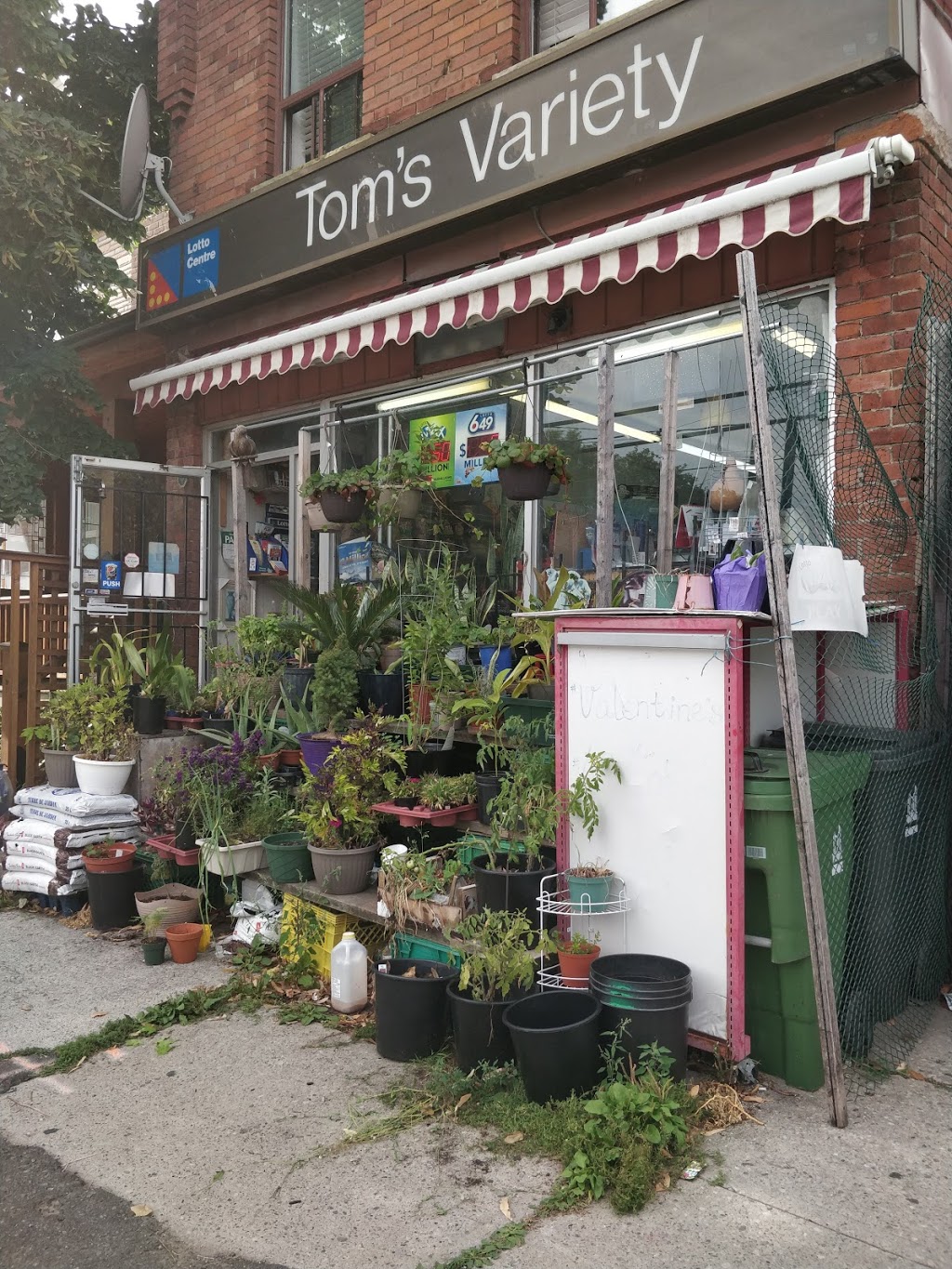 Toms Variety | 296 Wallace Ave, Toronto, ON M6P 3N4, Canada