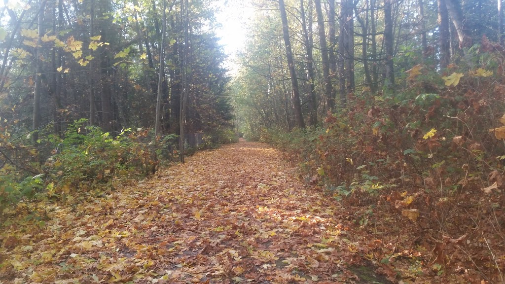 North Vancouver Cemetery | Lillooet Rd, North Vancouver, BC V7J, Canada