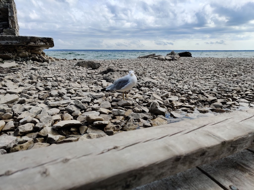 Flowerpot Island Campsite | Tobermory, ON N0H 2R0, Canada | Phone: (519) 596-2233