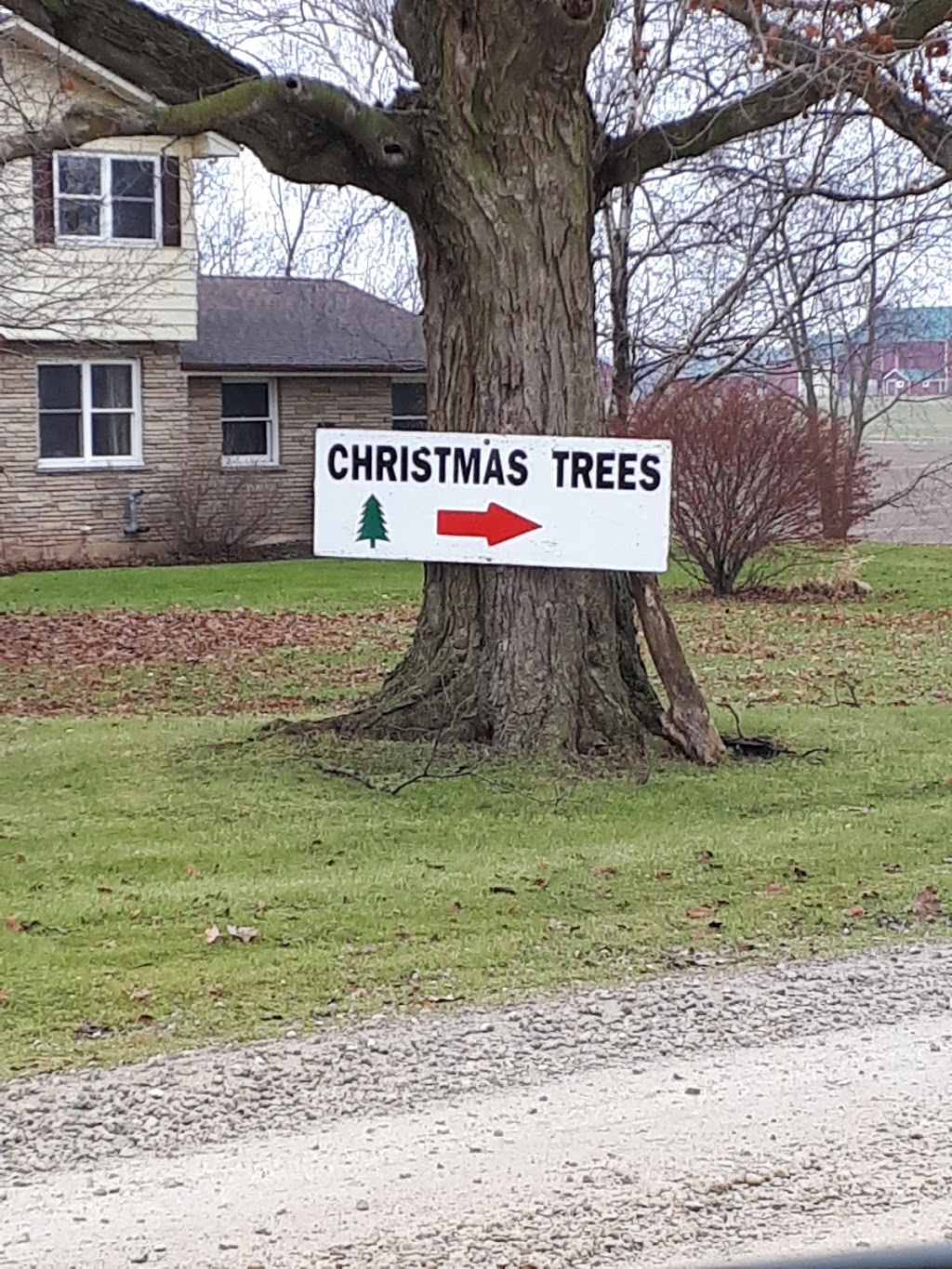 Vanderklooster Christmas Trees | 424847 Substation Rd, Burgessville, ON N0J 1C0, Canada | Phone: (519) 535-0215