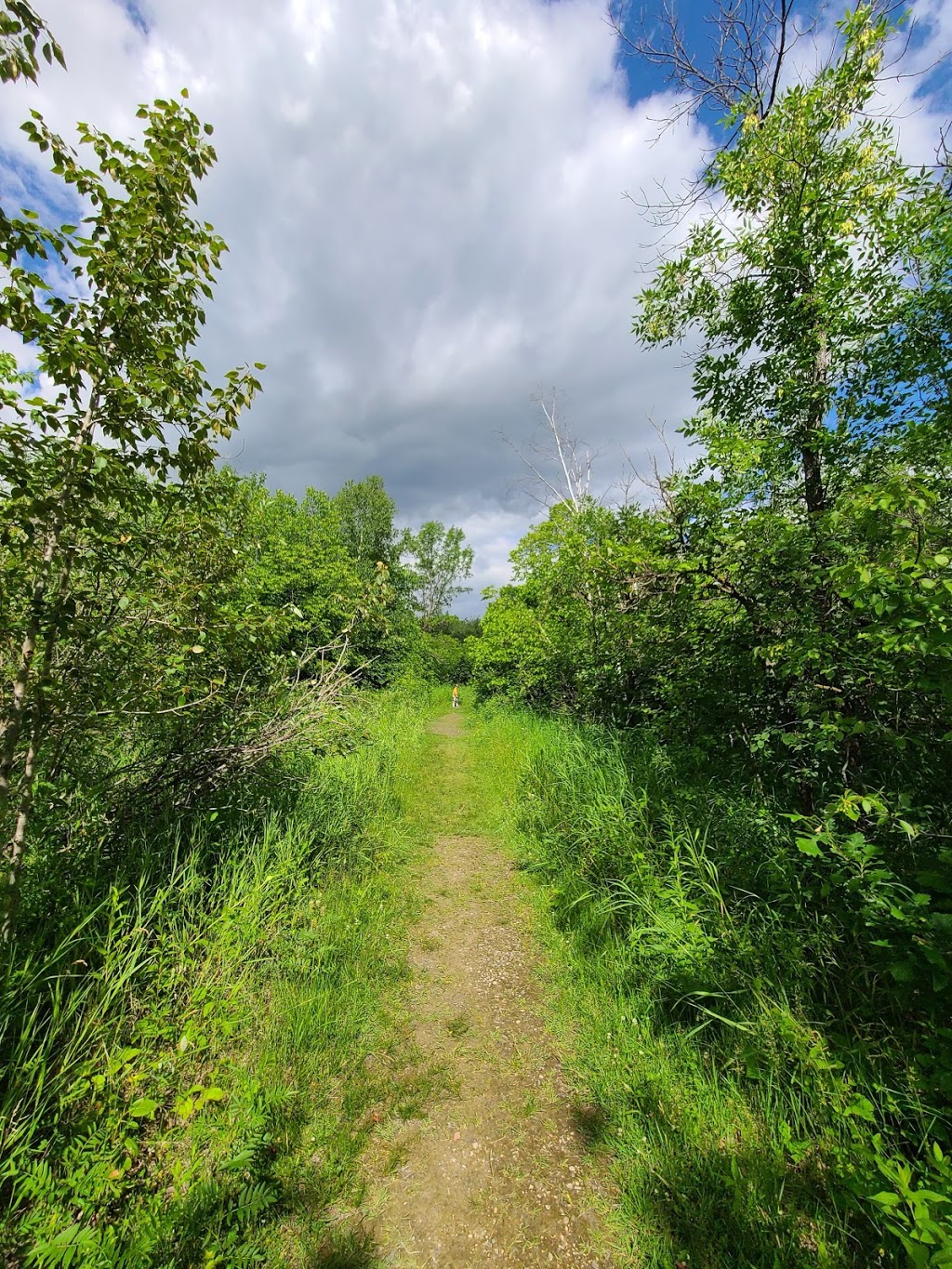 Swinging Bridge | Roseau River, MB R0A 1P0, Canada | Phone: (204) 427-2922