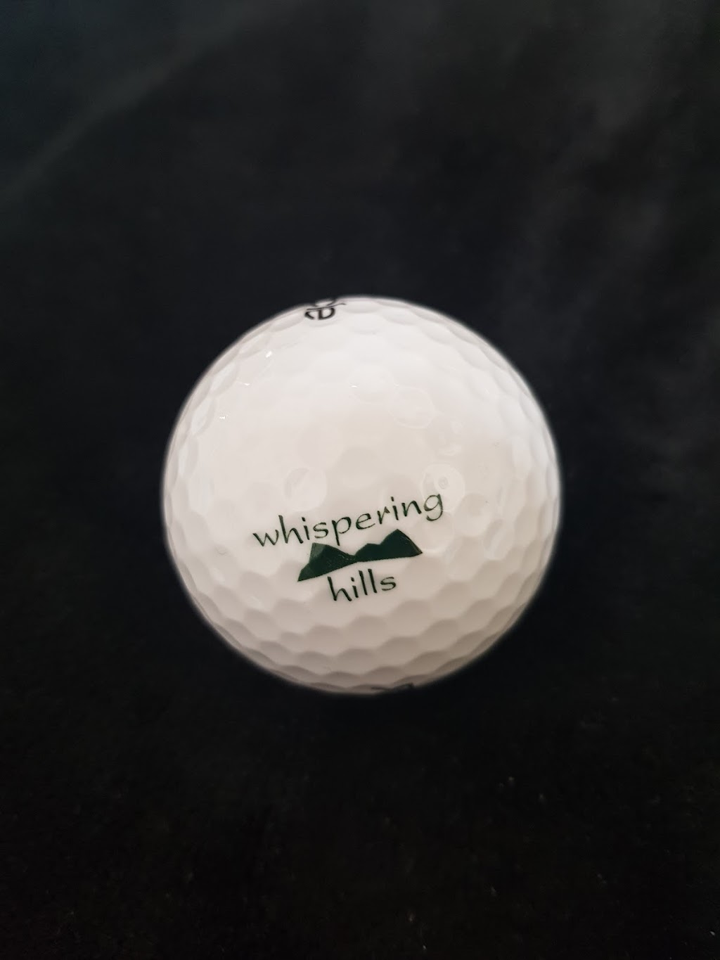 Whispering Hills Golf Club | 1144 4, Walkerton, ON N0N 3C4, Canada | Phone: (519) 364-2738