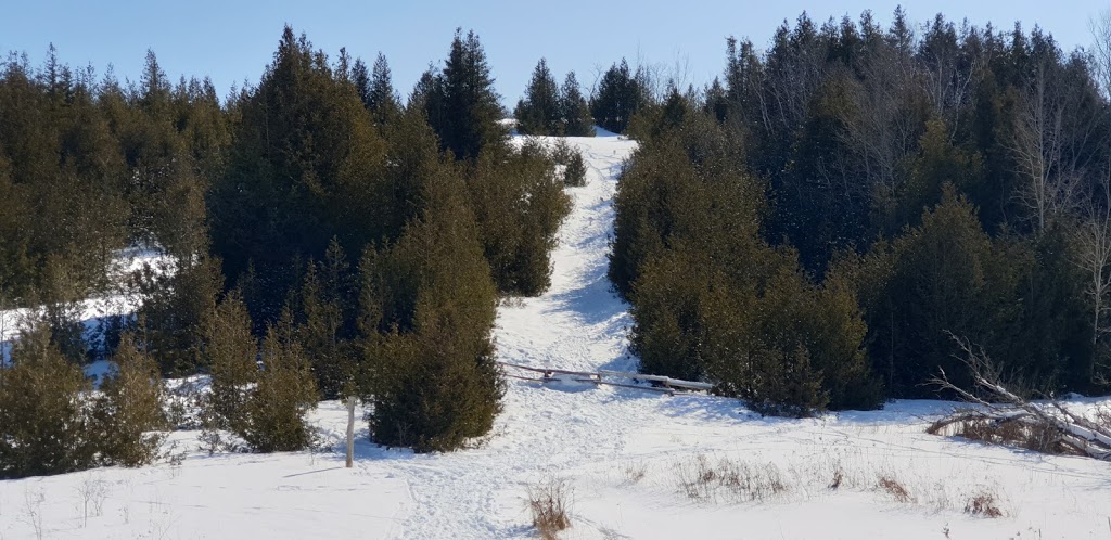 Harold Town Conservation Area Mountain Bike Trails | 2611 Old Norwood Rd, Peterborough, ON K9J 6X8, Canada | Phone: (705) 745-5791