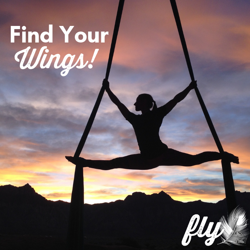 FLY Fitness & Aerial Arts | 1446 Lindsay St, Regina, SK S4N 3B6, Canada | Phone: (306) 581-7653