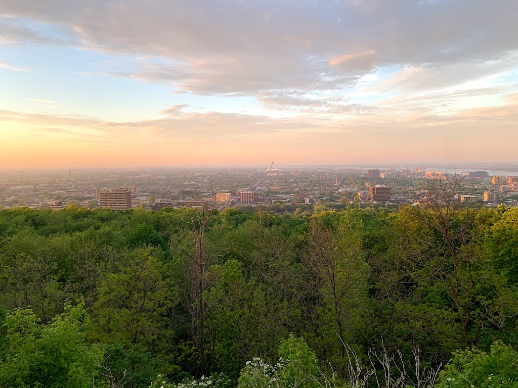 Belvédère Camillien-Houde | Voie Camillien-Houde, Mont-Royal, QC H3R 1K2, Canada | Phone: (514) 872-0311