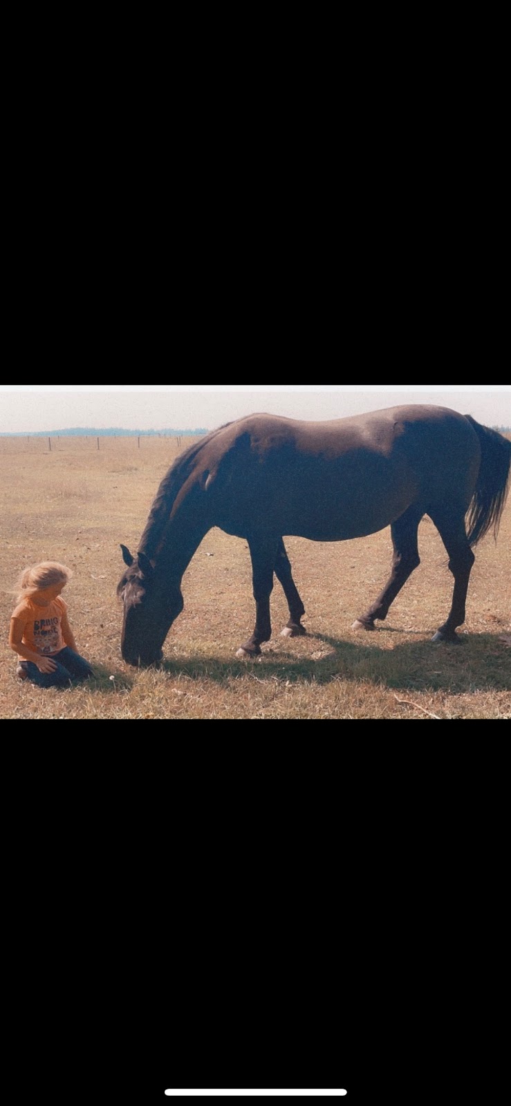 A&S Equine Wellness | RR1, Bluffton, AB T0C 0M0, Canada | Phone: (403) 963-7424