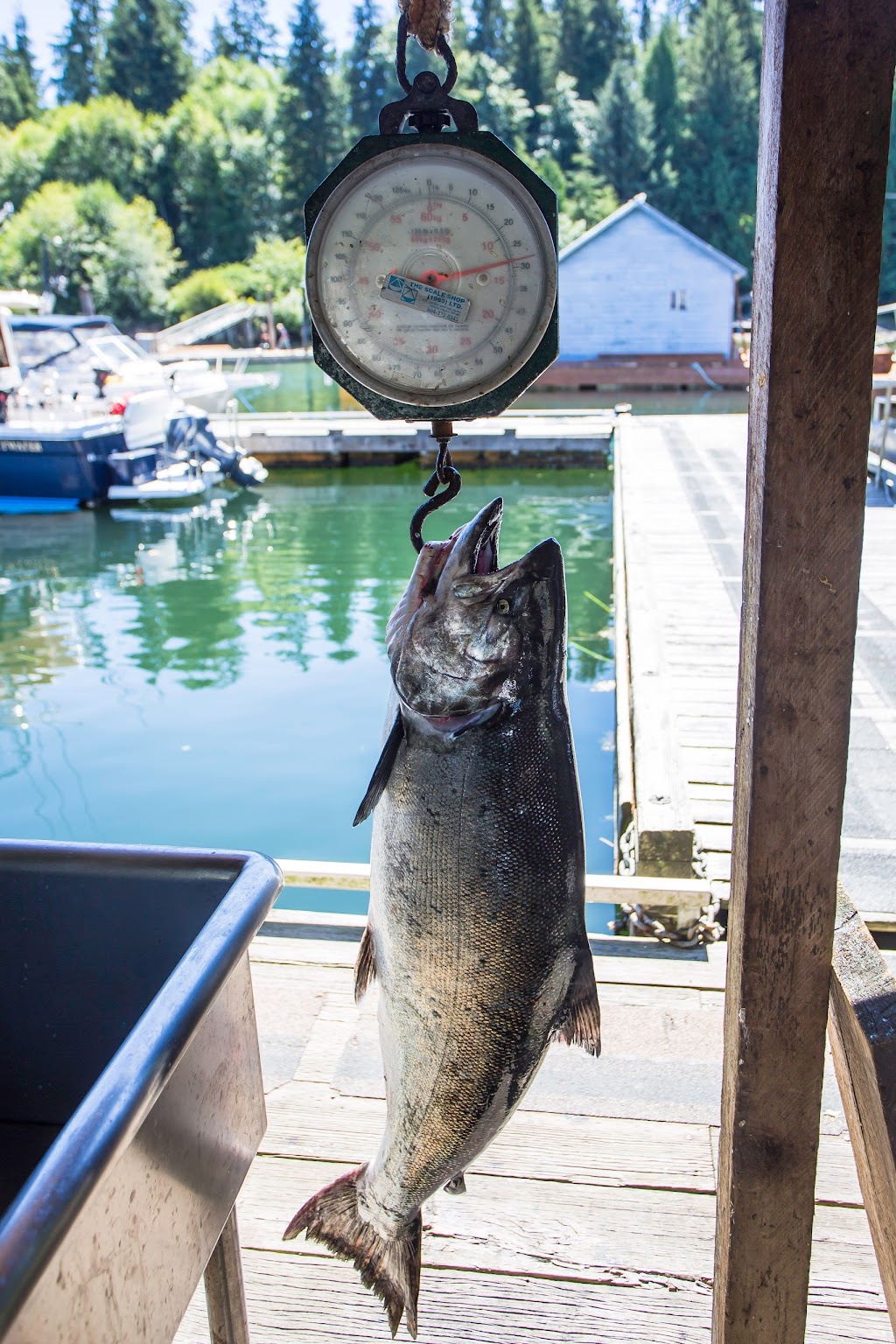 McKay Bay Lodge | Box 116 Bamfield,, Bamfield, BC V0R 1B0, Canada | Phone: (250) 728-3323