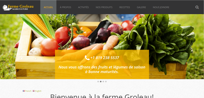 SITE WEB CRÉATION SR | 1233 Rue McManamy, Sherbrooke, QC J1H 2P1, Canada | Phone: (819) 446-2715