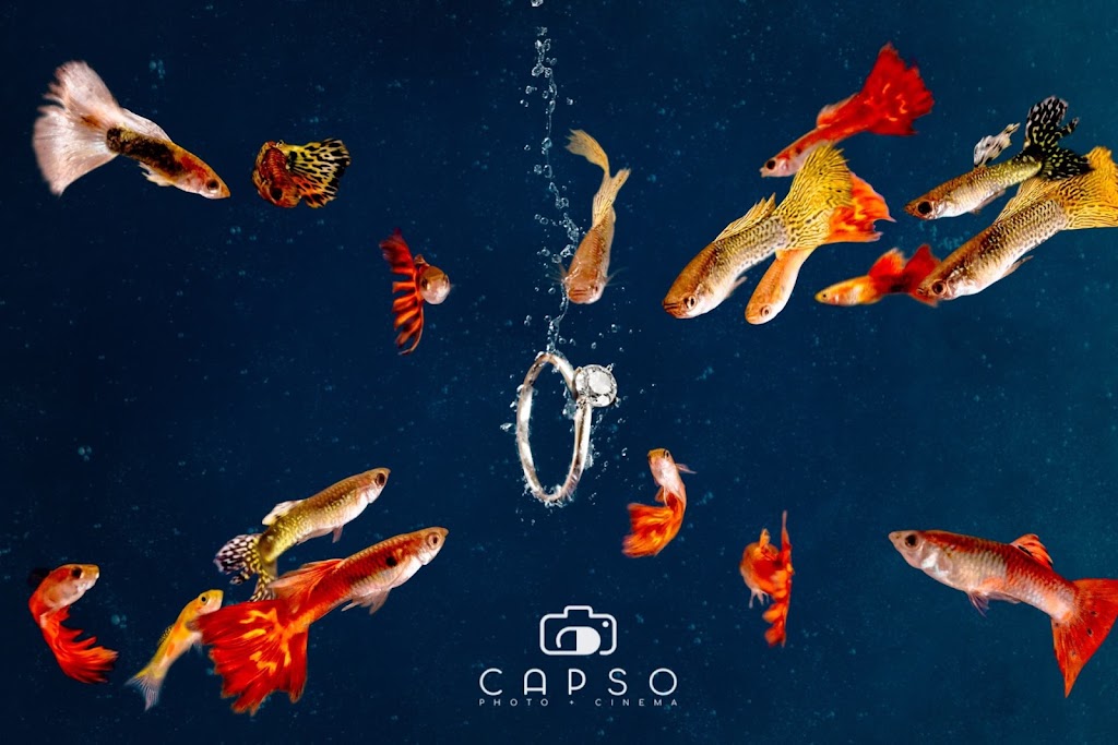 Capso Studio | 68 Railside Rd Unit C, North York, ON M3A 1A3, Canada | Phone: (647) 825-2608