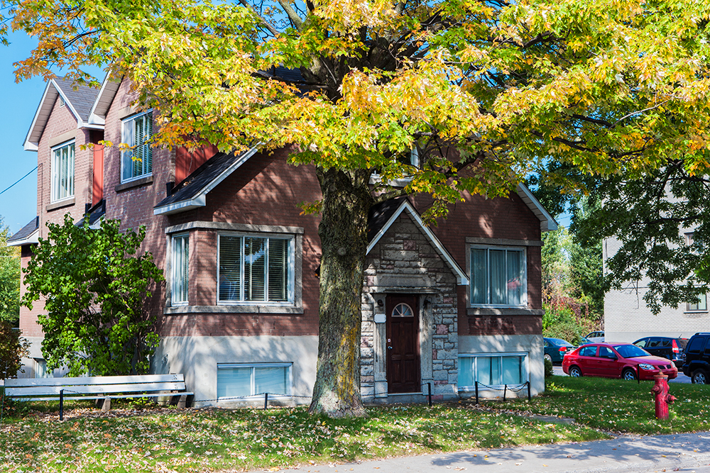 La Maison Kangourou | Rue Sherbrooke E, Montréal, QC H1L 6K9, Canada | Phone: (514) 524-4141