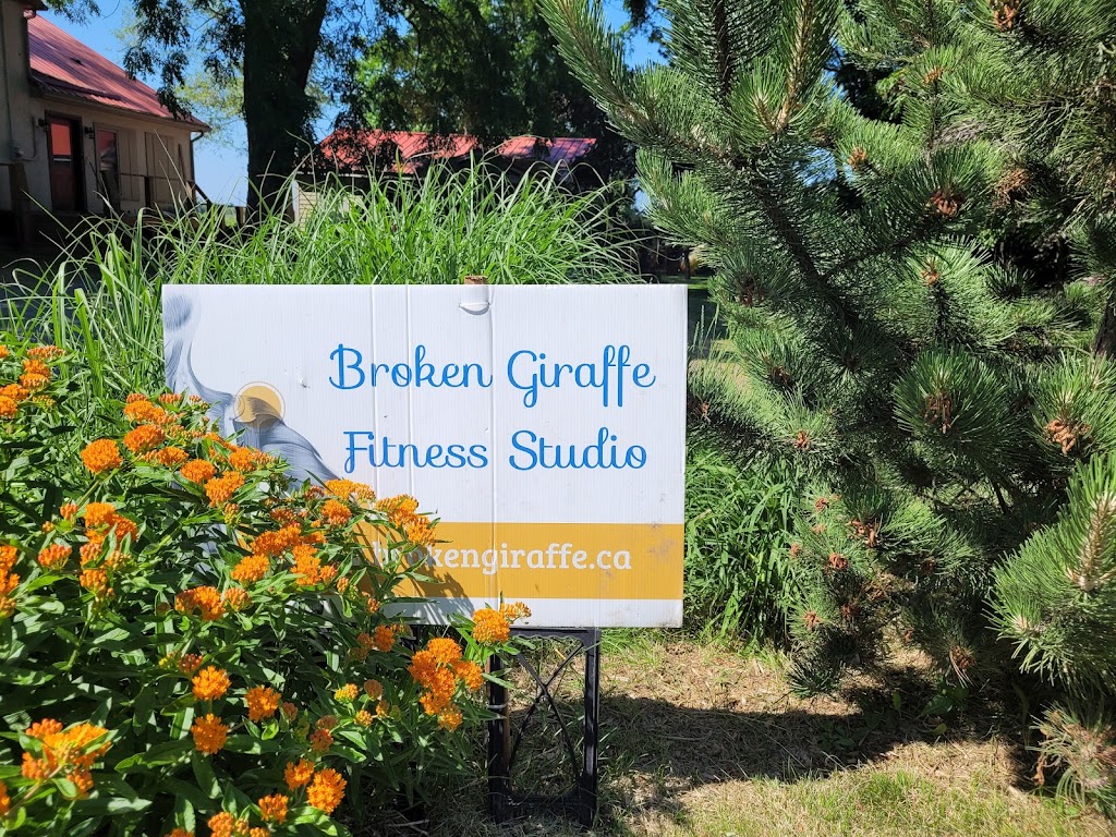 Broken Giraffe Function & Fitness | 4545 King St, Beamsville, ON L0R 1B1, Canada | Phone: (647) 999-3588