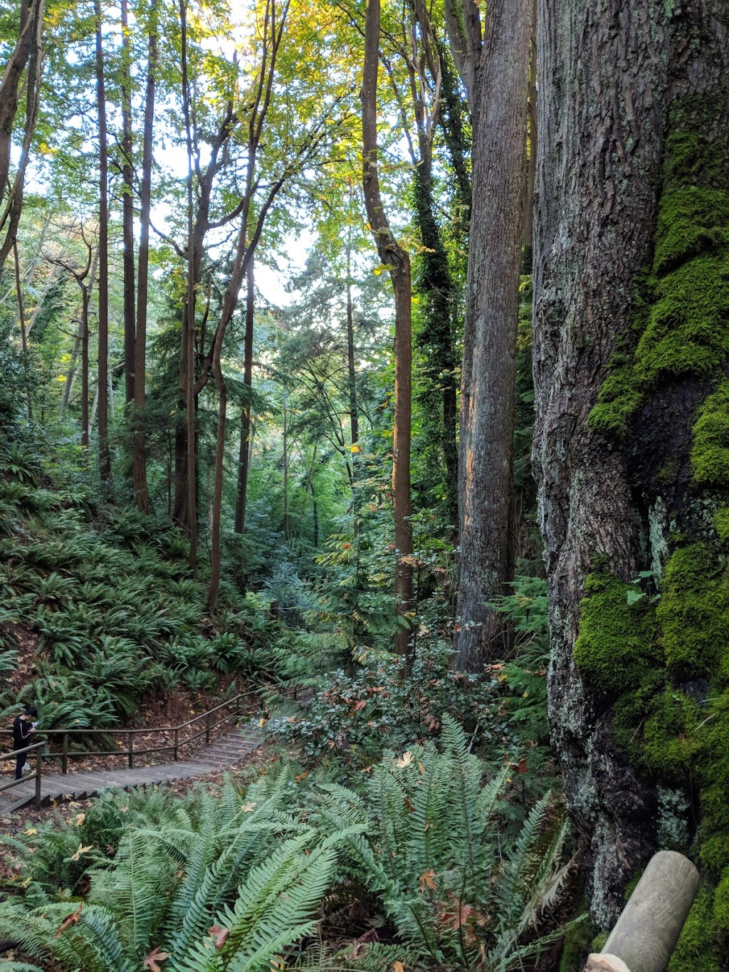 Tower Beach Trail | Trail 3, Vancouver, BC V6T 1X8, Canada