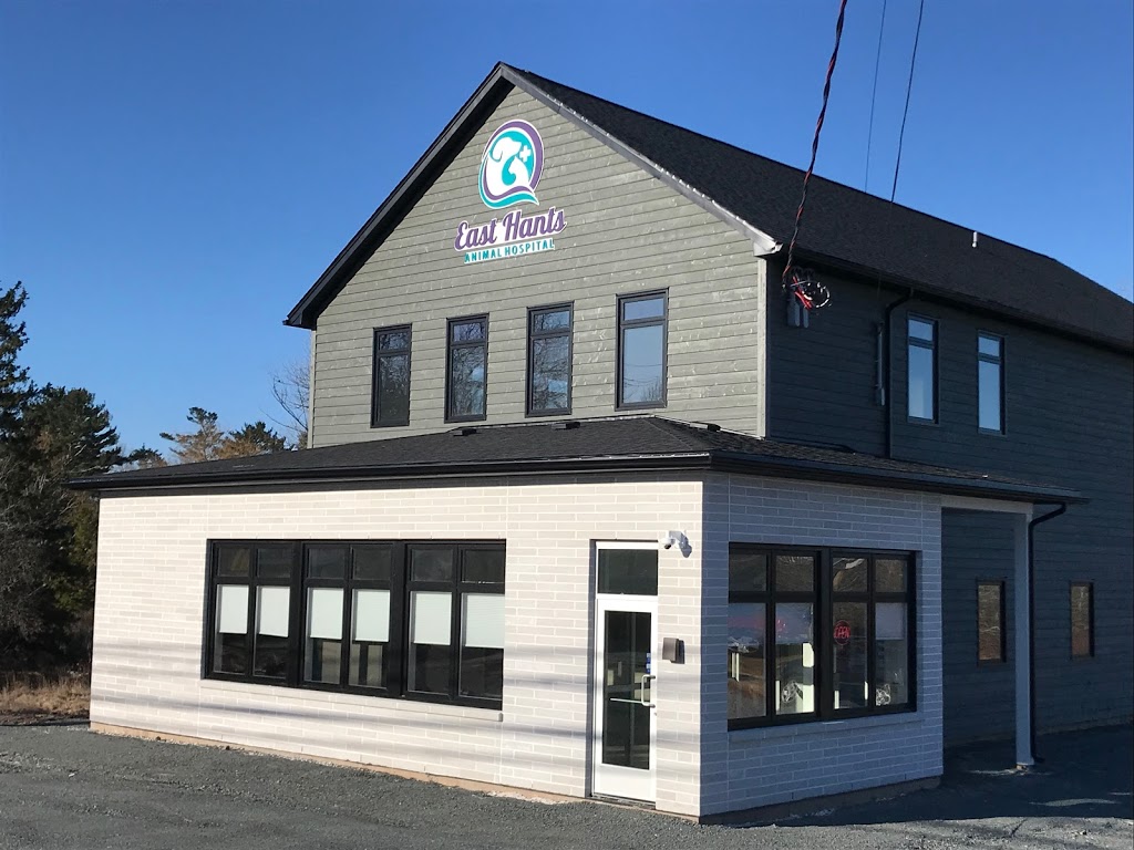 East Hants Animal Hospital | 202 NS-214, Elmsdale, NS B2S 1J2, Canada | Phone: (902) 883-8787