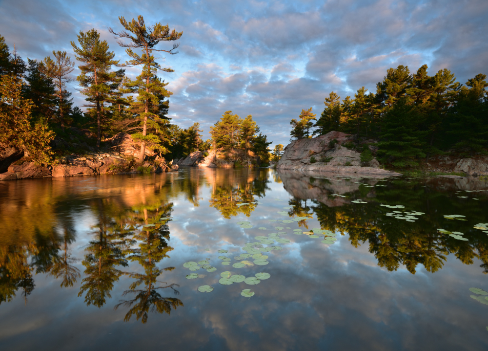 Peter Bowers Photography | 1095 Basshaunt Lake Rd, Eagle Lake, ON K0M 1M0, Canada | Phone: (705) 457-6759