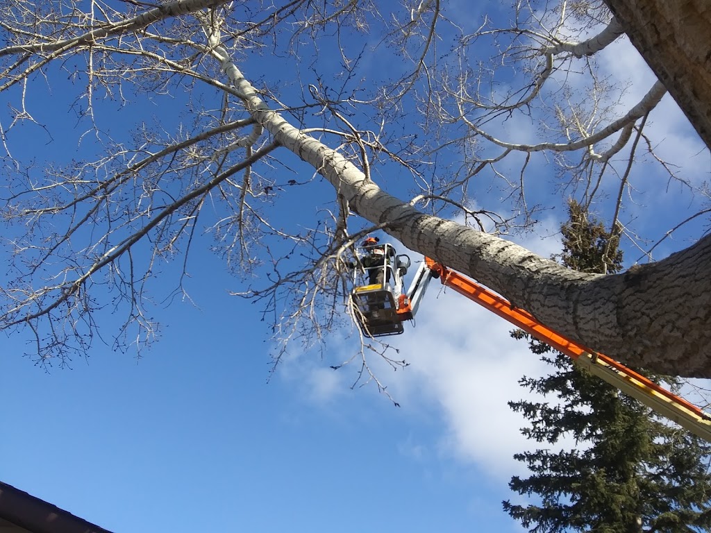 Positive Pruning & Maintenance | Strathford Pl, Strathmore, AB T1P 1S4, Canada | Phone: (403) 608-4762