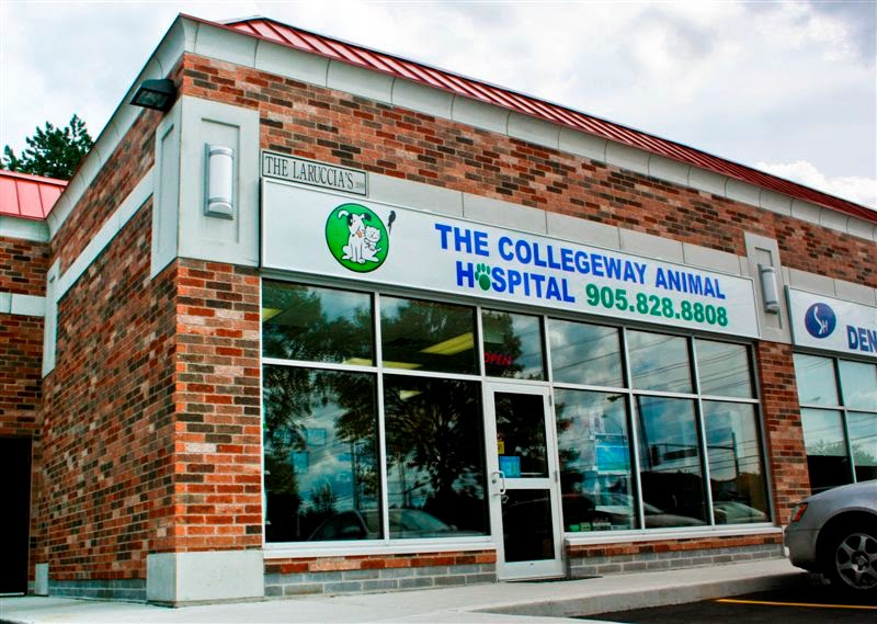 The Collegeway Animal Hospital | 2686 The Collegeway #101, Mississauga, ON L5L 2M9, Canada | Phone: (905) 828-8808