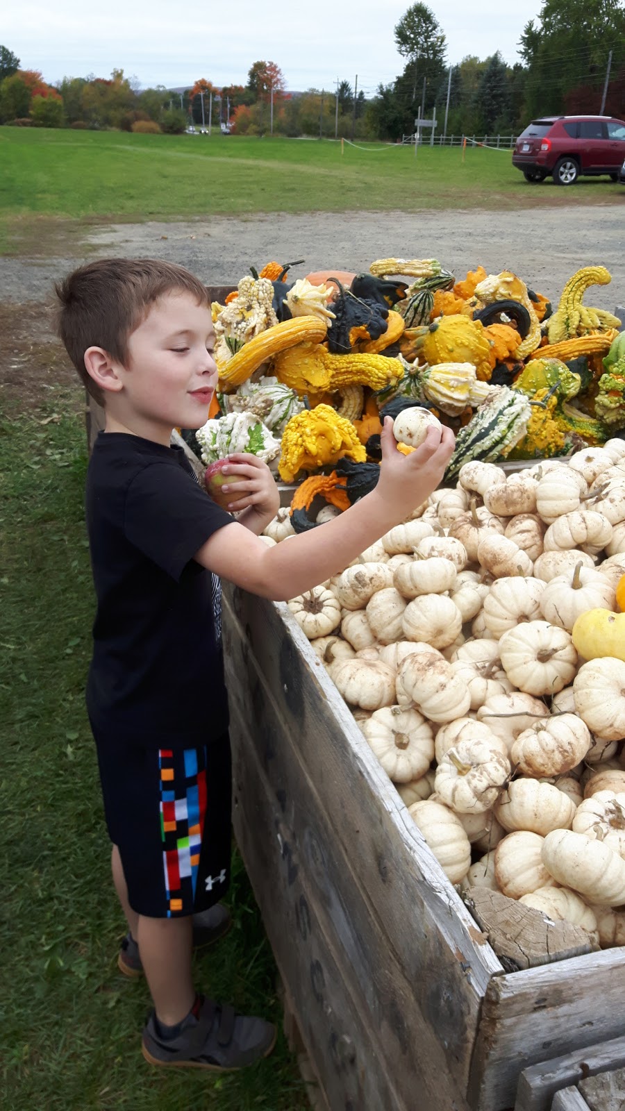 Evans Family Farm Market | 13808 Nova Scotia Trunk 1, Wilmot, NS B0P 1W0, Canada | Phone: (902) 825-3878