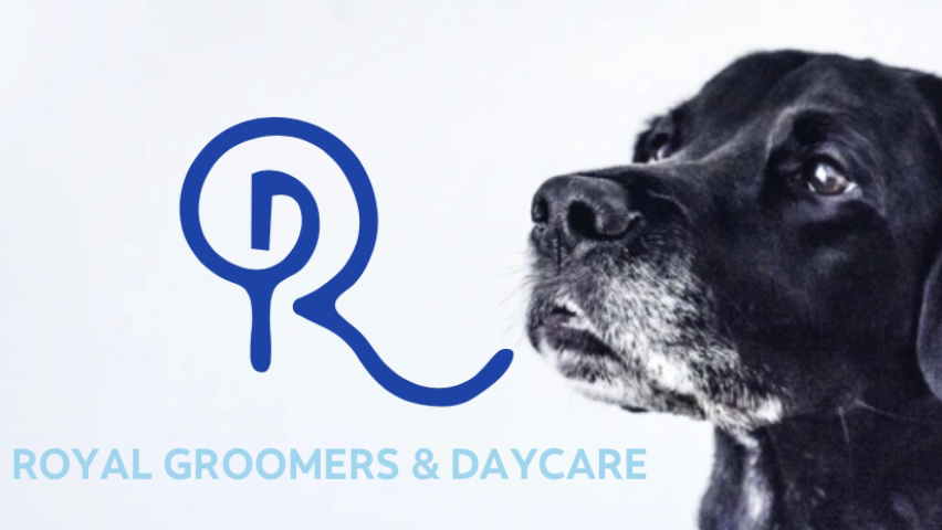 Royal Groomers and Daycare | 500 Royal Oak Dr NW #104, Calgary, AB T3G 0E8, Canada | Phone: (403) 208-4651