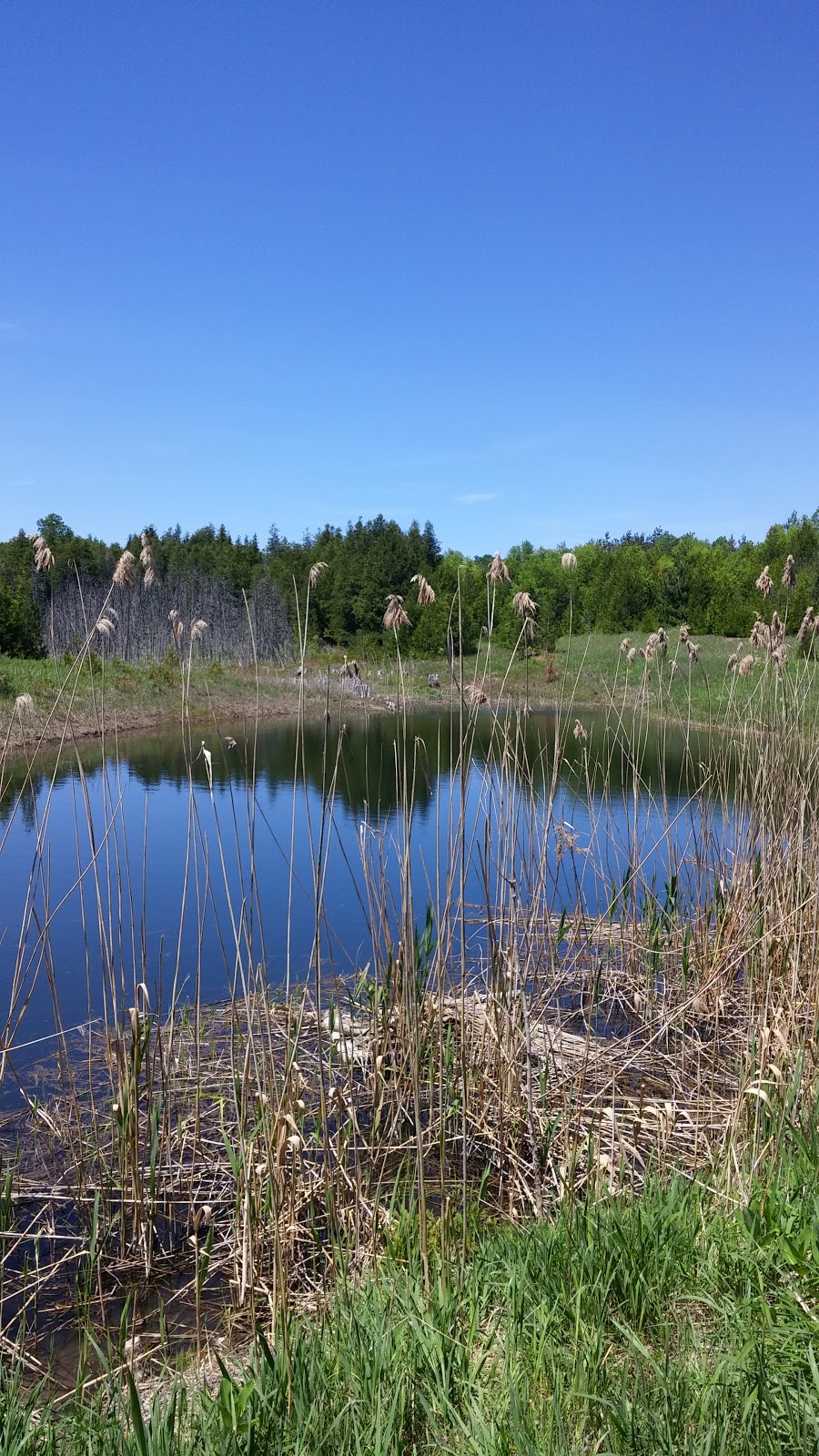 Hockley Valley Provincial Nature Reserve | 794122 3rd Line EHS, Laurel, ON L0N 1L0, Canada | Phone: (705) 435-2498